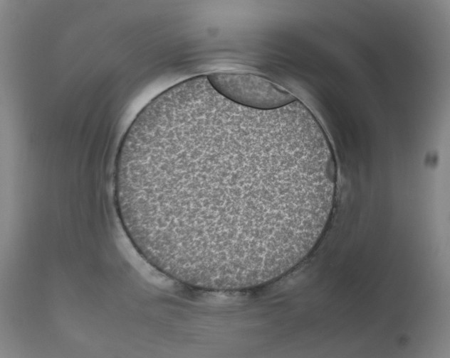 X0000111841195200909031656