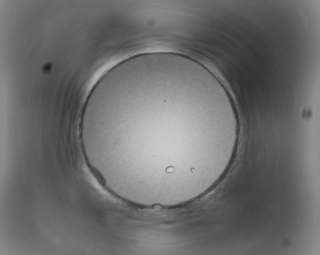 X0000111841197200909031656