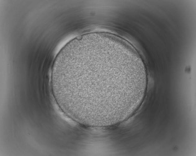 X0000111841198200909031656