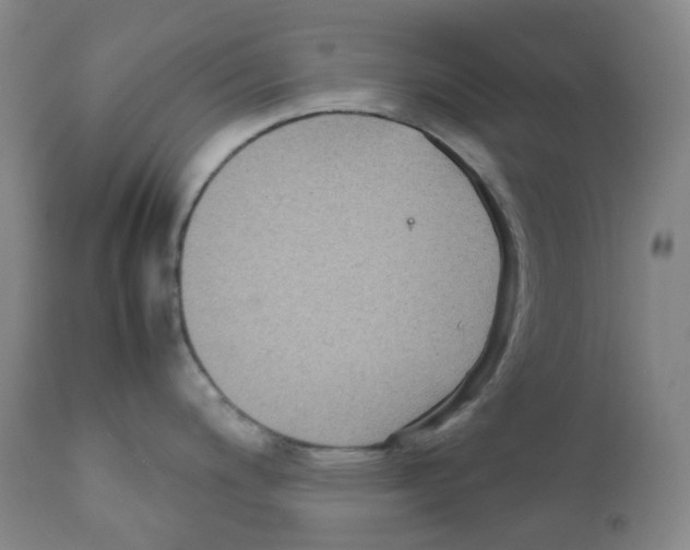 X0000111841200200909031656