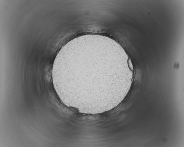 X0000111841202200909031655