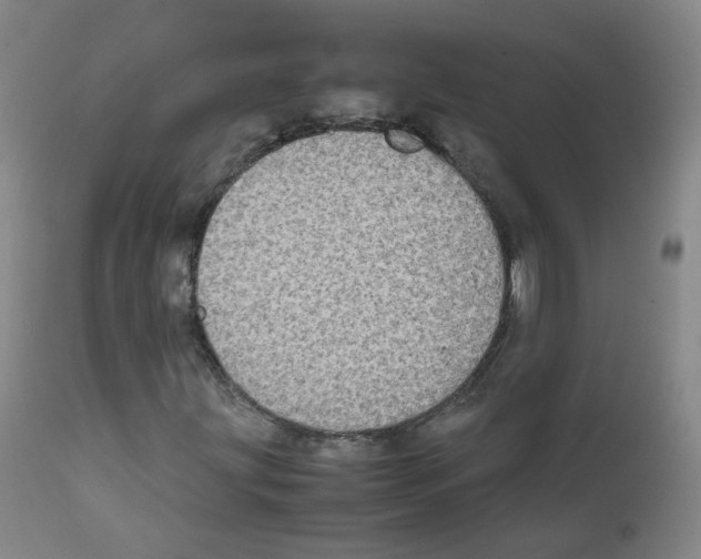 X0000111841203200909031655