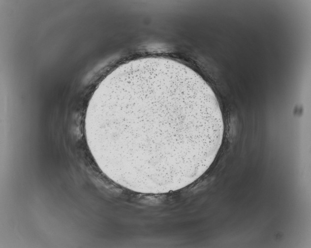 X0000111841205200909031655