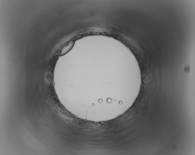 X0000111841207200909031655