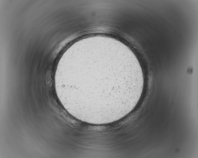 X0000111841210200909031655