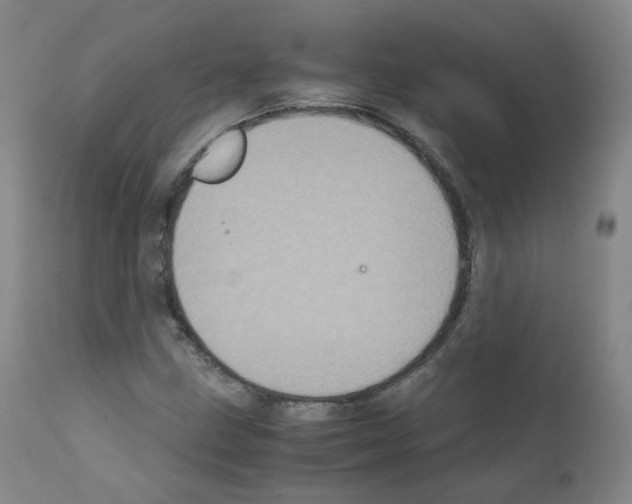 X0000111841211200909031655