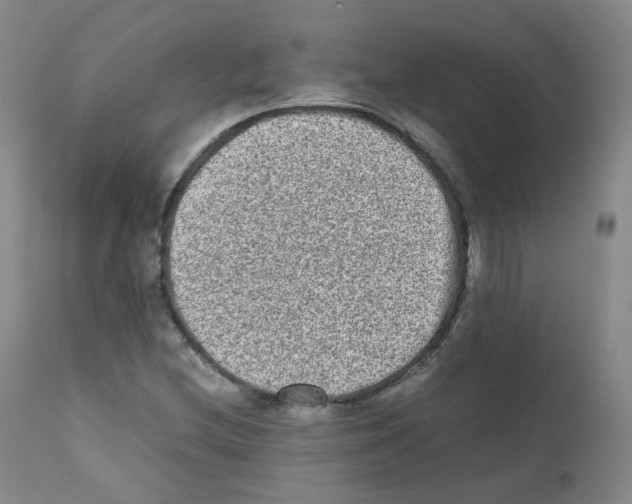 X0000111841212200909031655