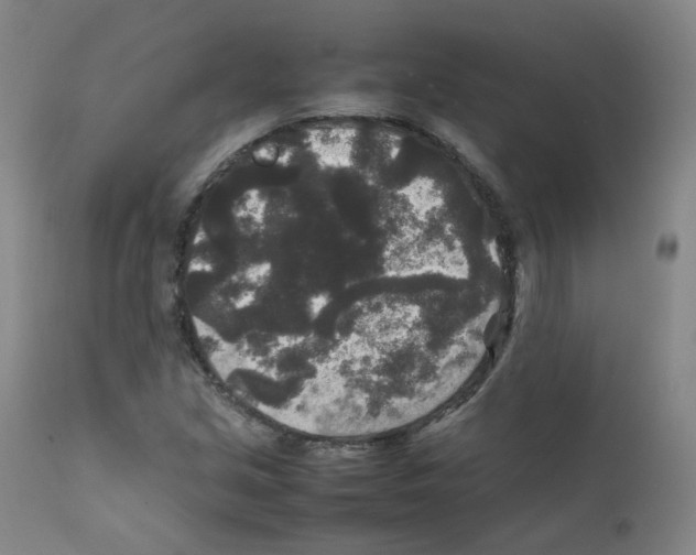 X0000111841213200909031655