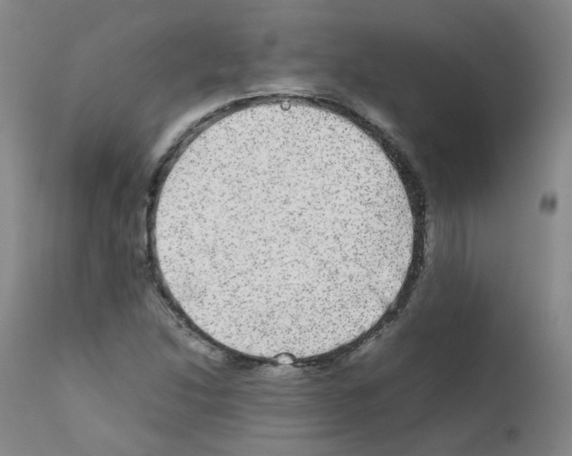 X0000111841214200909031655