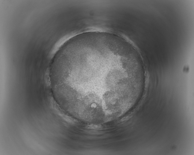 X0000111841215200909031655