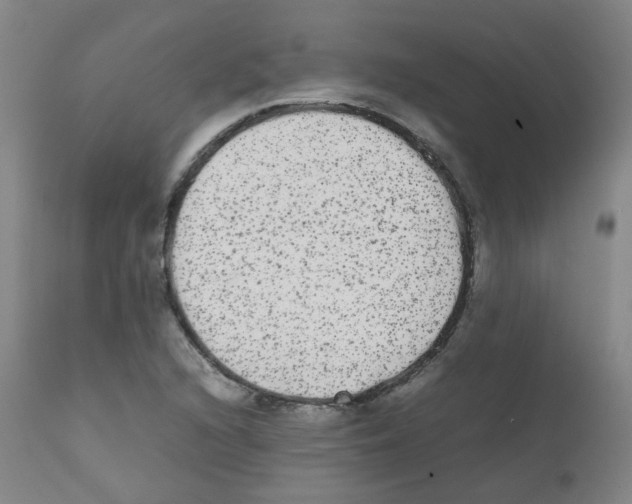 X0000111841216200909031655