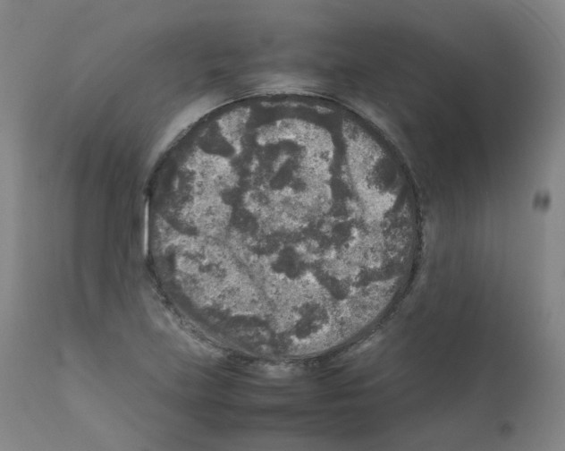 X0000111841219200909031655