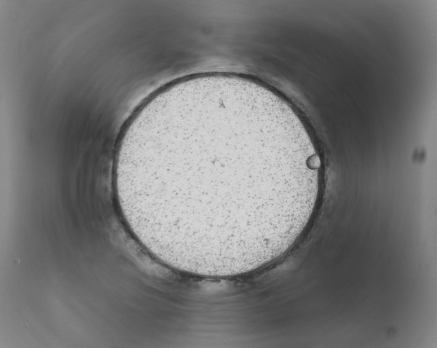 X0000111841220200909031655