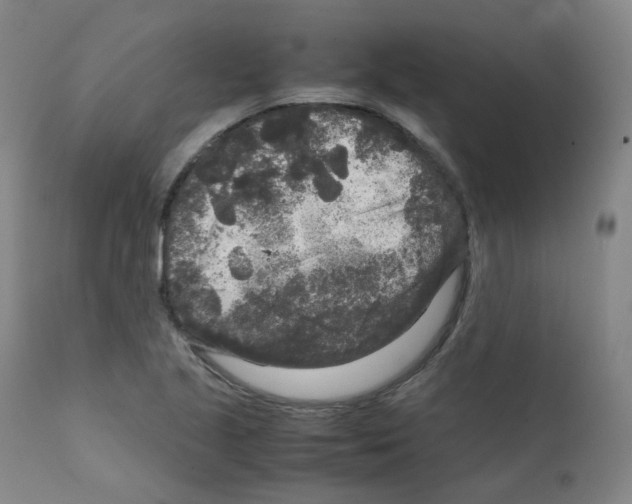 X0000111841221200909031655