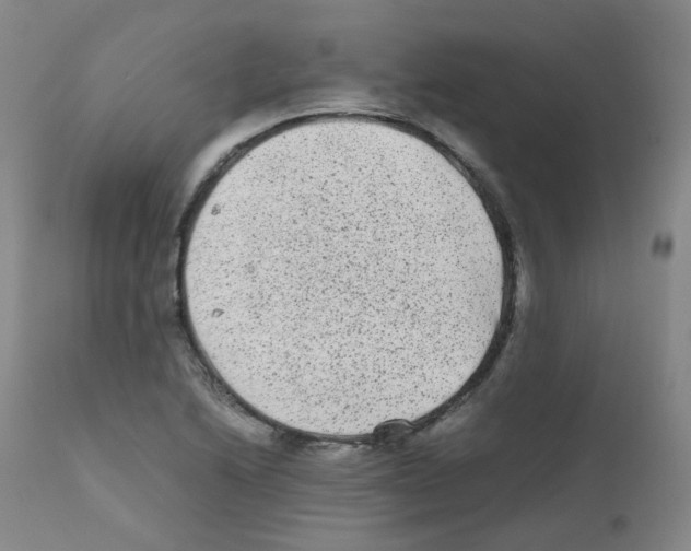 X0000111841222200909031655