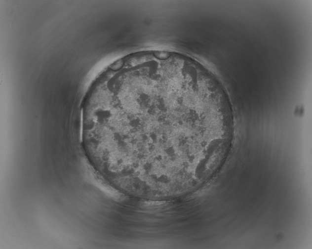 X0000111841223200909031655