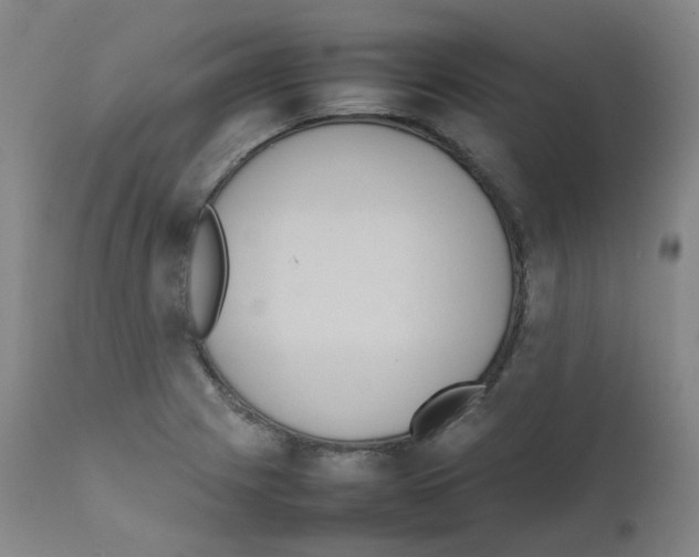 X0000111841225200909031655