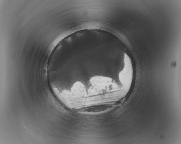 X0000111841226200909031655