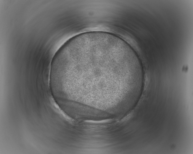 X0000111841228200909031655