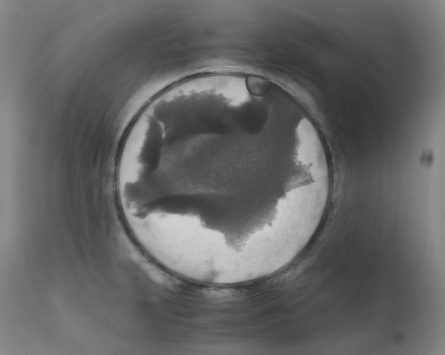 X0000111841231200909031655