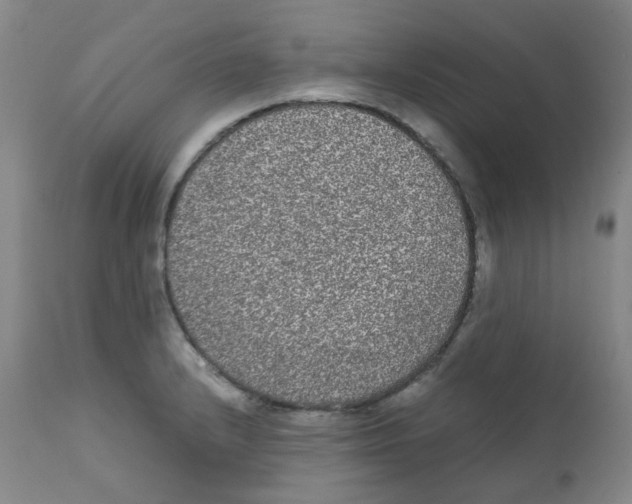 X0000111841232200909031655