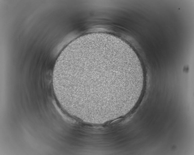 X0000111841233200909031655