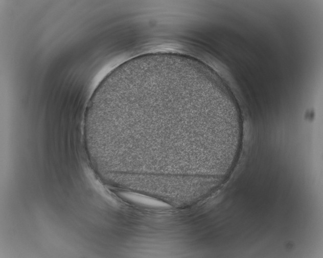 X0000111841234200909031655