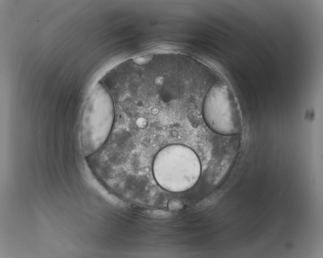 X0000111841235200909031655