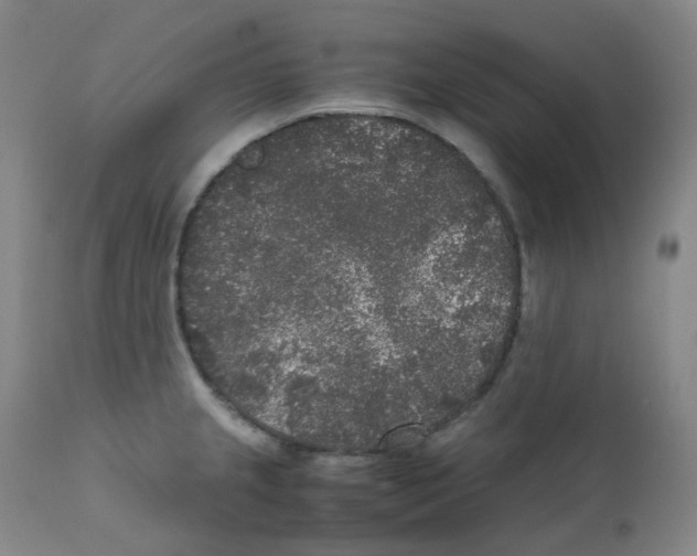 X0000111841237200909031655