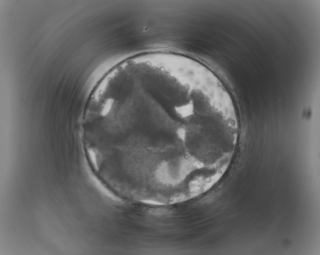 X0000111841239200909031655