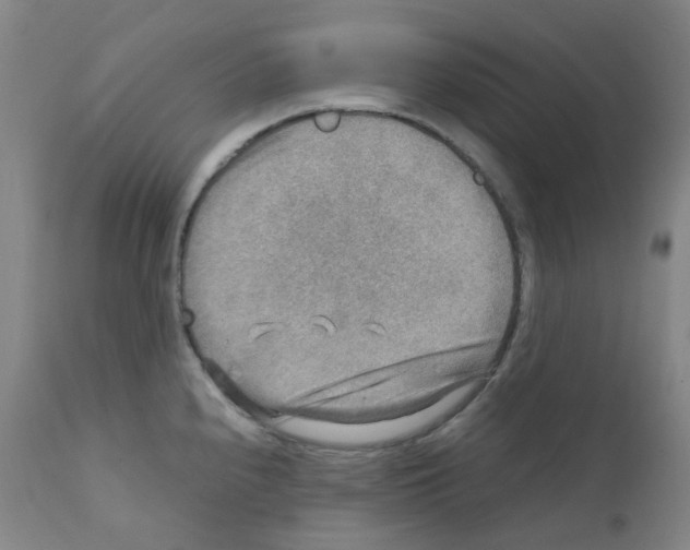 X0000111841240200909031655