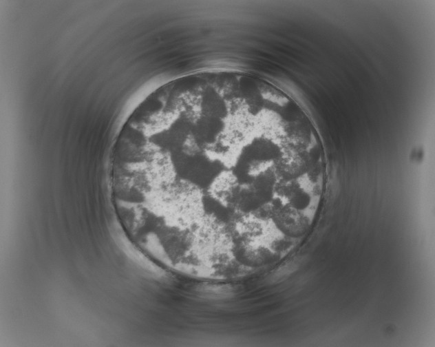 X0000111841243200909031655