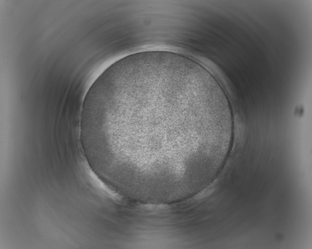 X0000111841244200909031655