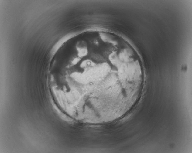 X0000111841245200909031656