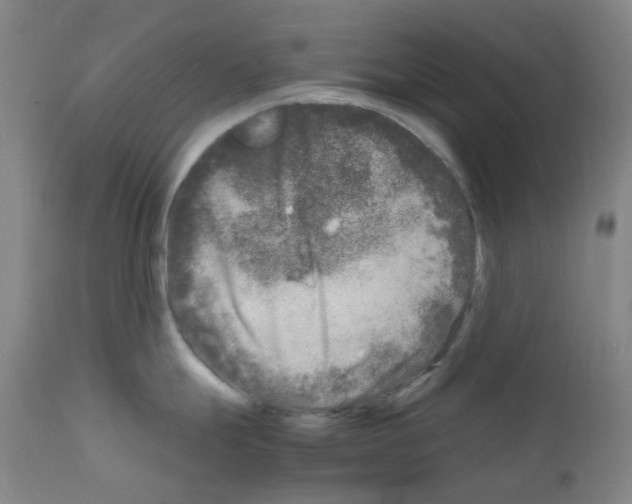 X0000111841247200909031656