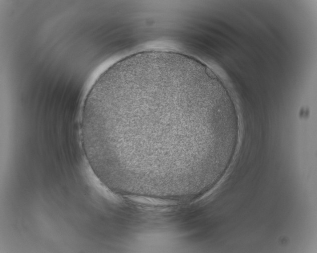 X0000111841248200909031656