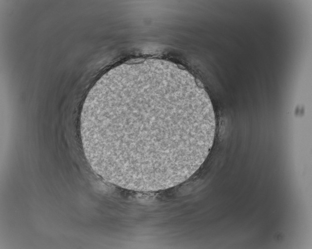 X0000111841249200909031655