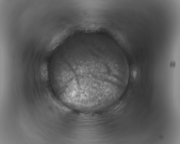 X0000111841252200909031655