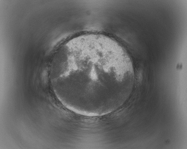 X0000111841254200909031655