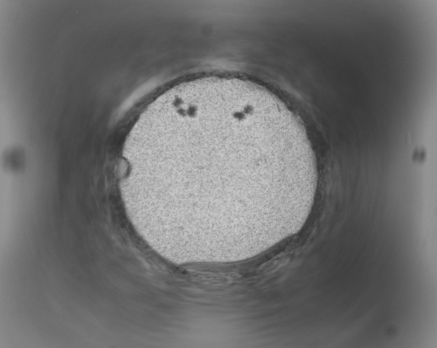 X0000111841255200909031655