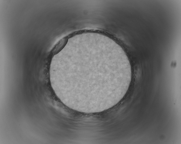 X0000111841256200909031655