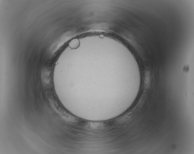 X0000111841258200909031655