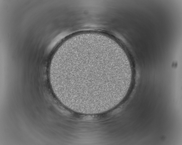 X0000111841259200909031655