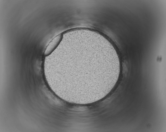 X0000111841260200909031655