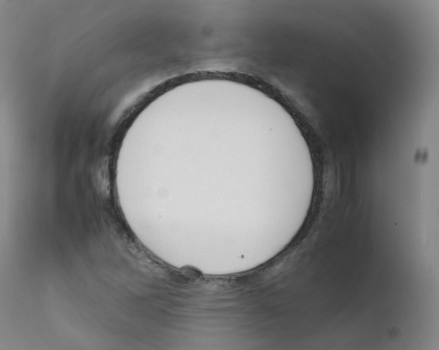 X0000111841262200909031655