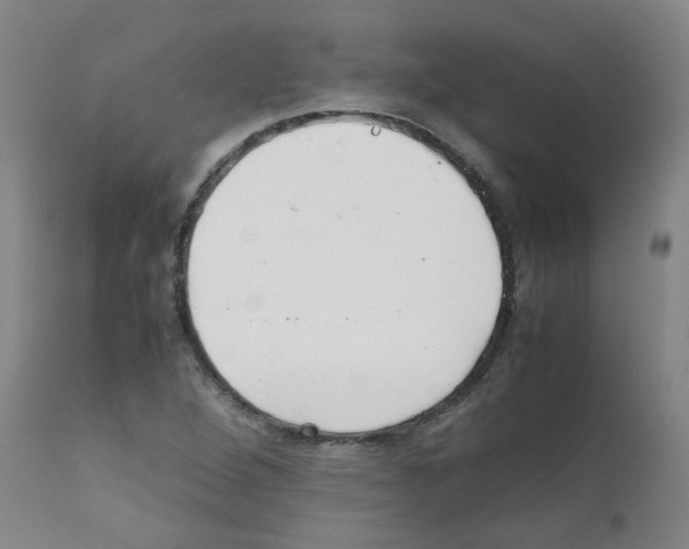 X0000111841264200909031655