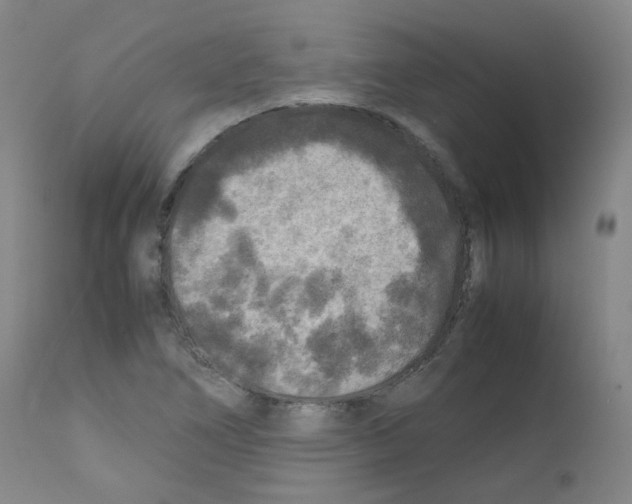 X0000111841266200909031654