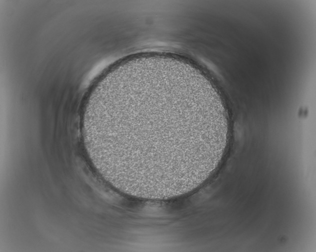 X0000111841267200909031654