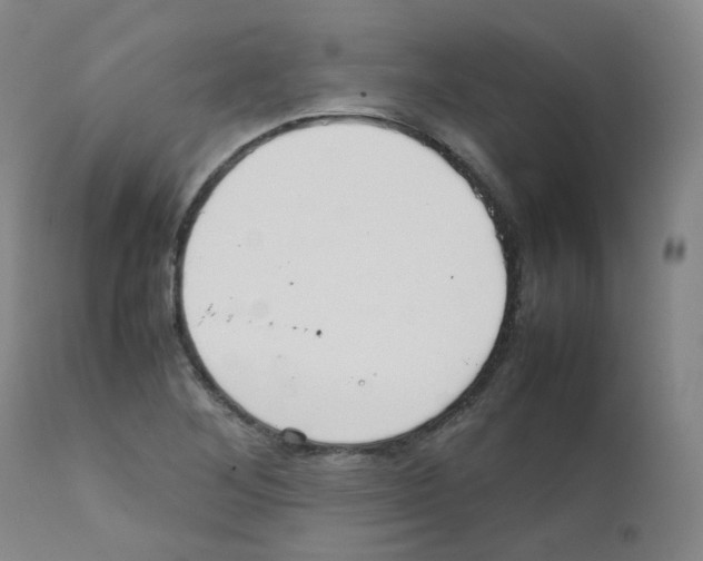 X0000111841268200909031654