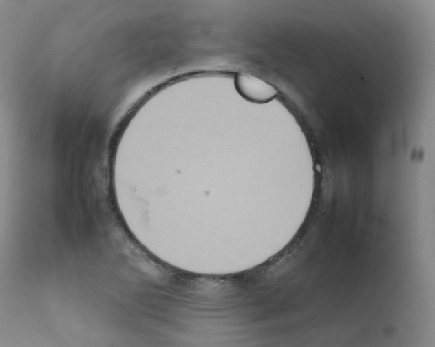 X0000111841270200909031654